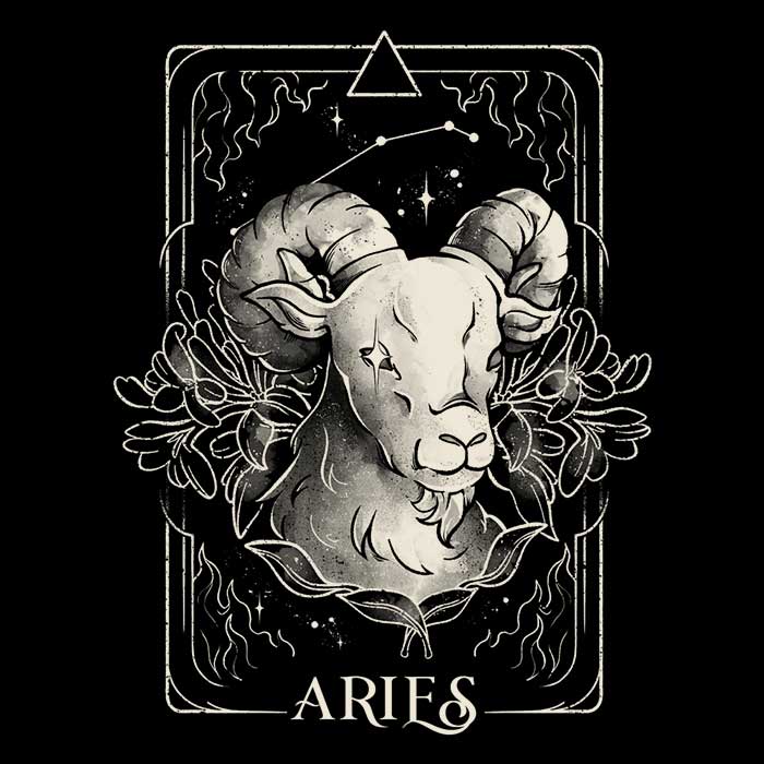 Aries (Edu.Ely) - Long Sleeve