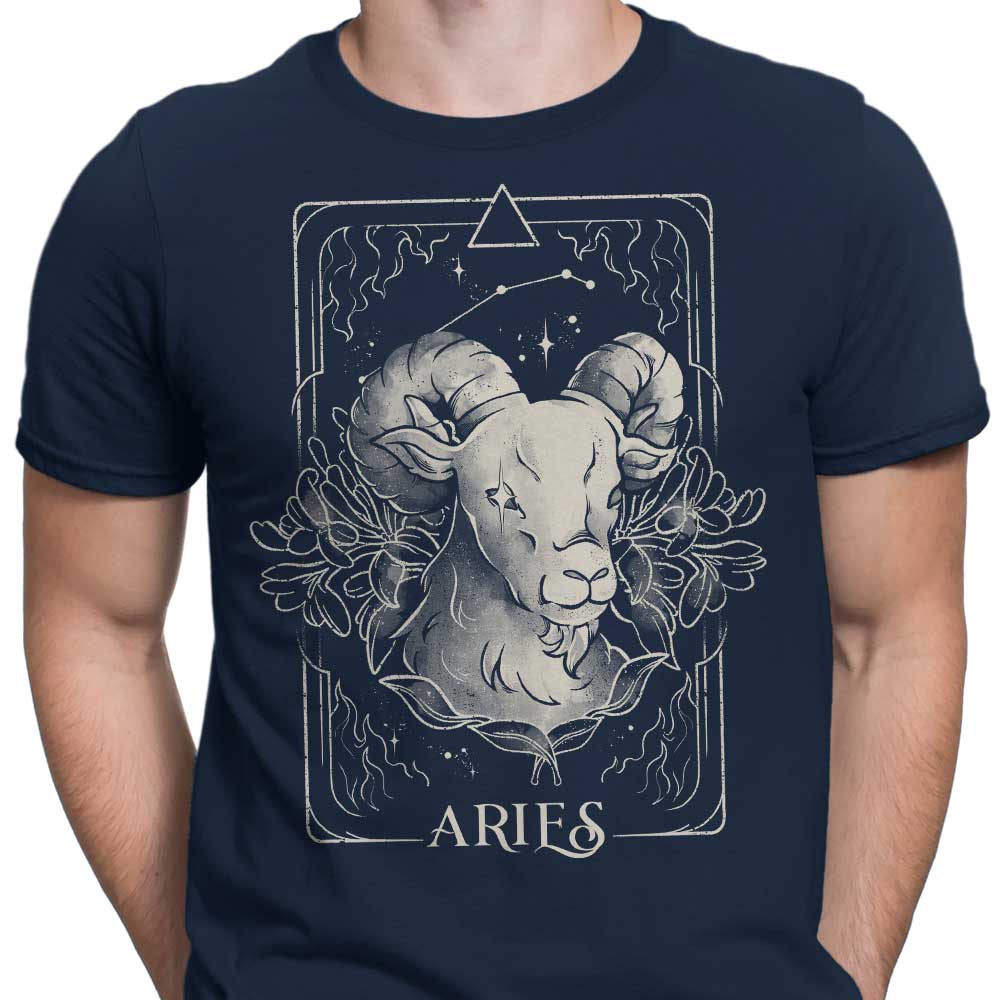 Aries (Edu.Ely) - Men's Apparel