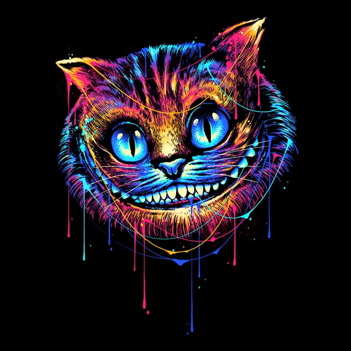 Colorful Cat - Women's Apparel