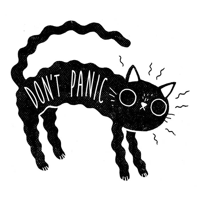 Don't Panic - 3/4 Sleeve Raglan