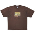 BEASTIE BOYS MEMBER SQUARE BROWN AERO USA XL 7908