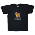LIMP BIZKIT 2002 BULL DOG FRUIT OF THE LOOM MEDIUM 3306