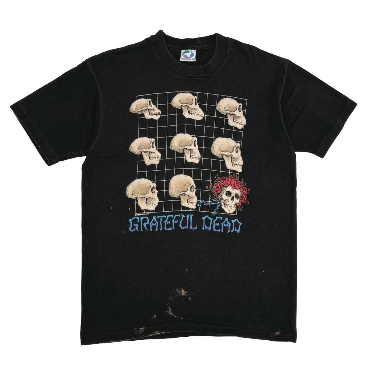 GRATEFUL DEAD EVOLUTION What a Long Strange Trip It's Been LIQUID BLUE LARGE 5655