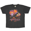 LED ZEPPELIN 1994 SWAN SONG WINTERLAND XL 4479
