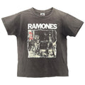RAMONES SHEENA IS A PUNK ROCKER ALSTYLE MEDIUM 9399