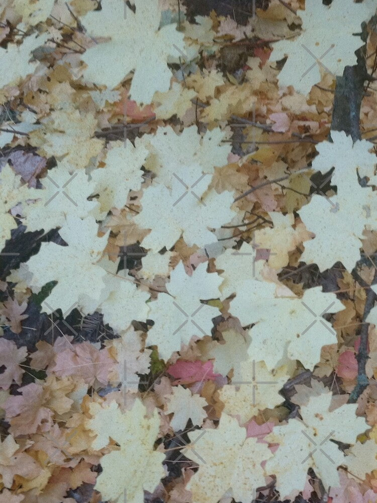 Fall Leaves by GriffinJDesigns