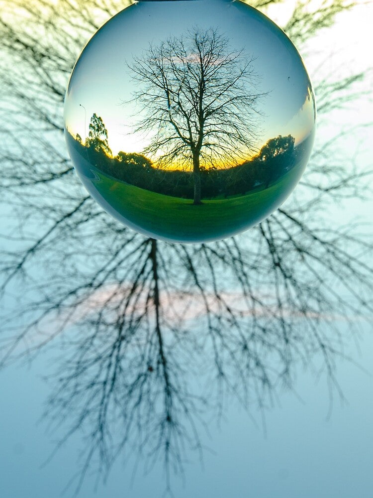Crystal Ball Reflextions "The Tree" by ilovethenight