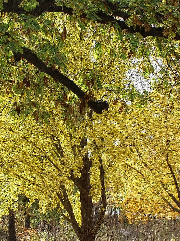Abstract Tree Foliage Puzzle by lisaamakye