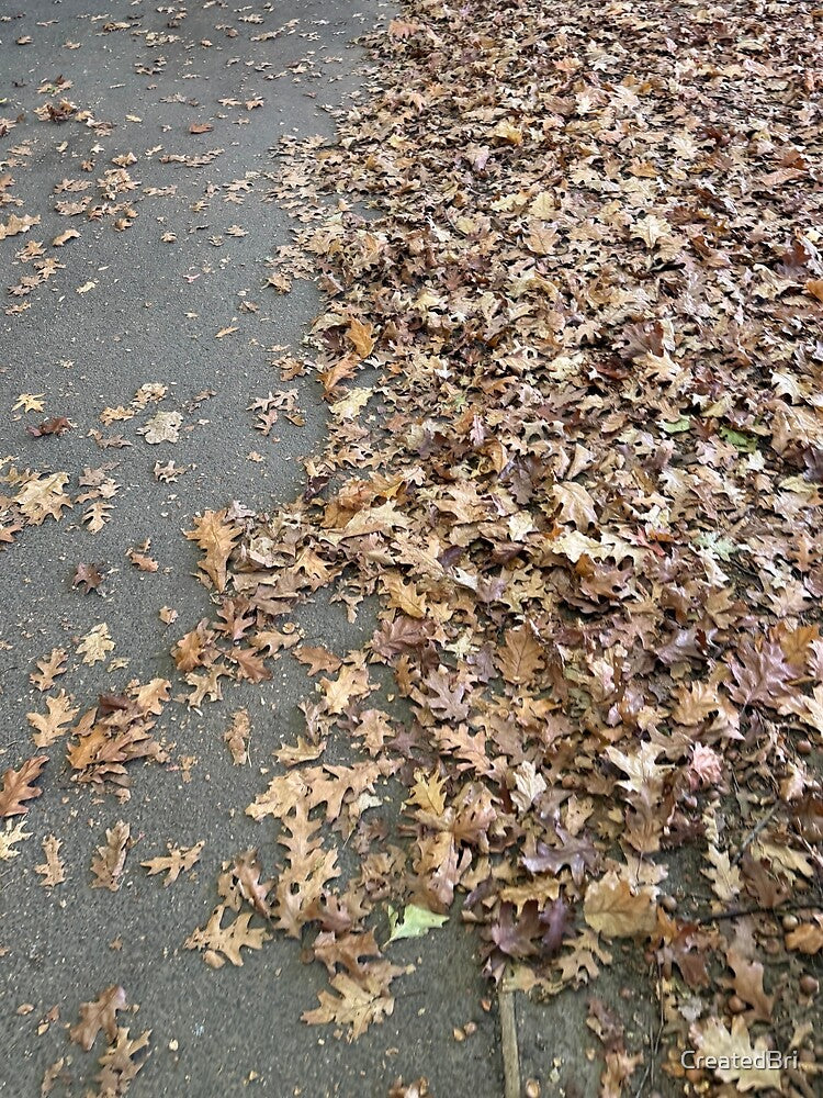 Autumn Leaves by CreatedBri