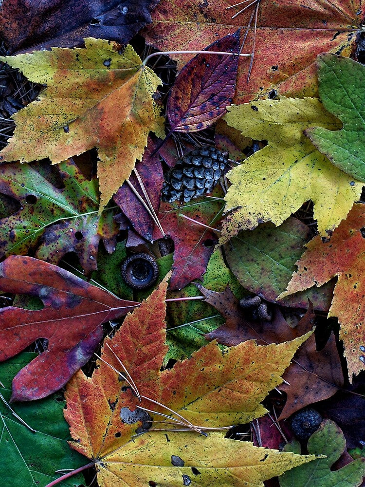 Art  Appreciation by Kathilee