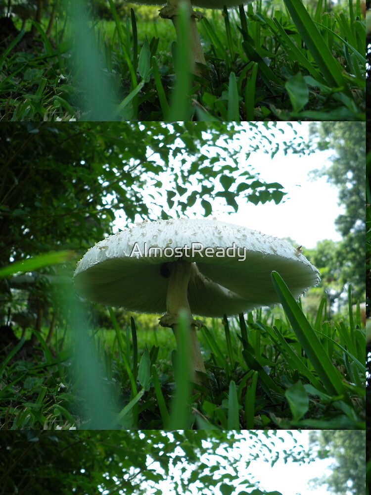 mushybrella by AlmostReady
