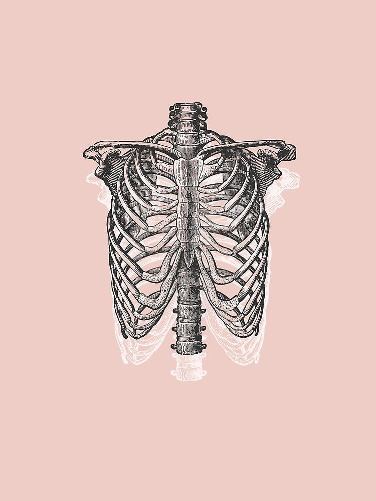 Anatomical Ribcage • Pastel Pink • Pastel Goth by Rike Mayer