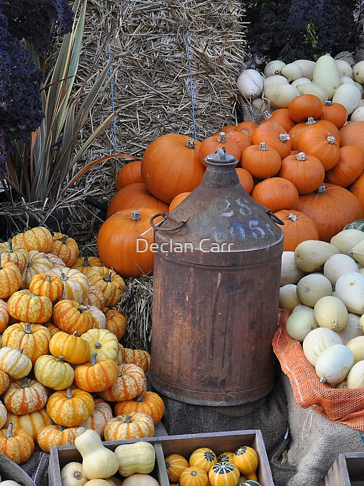 All most pumpkin time by Declan Carr