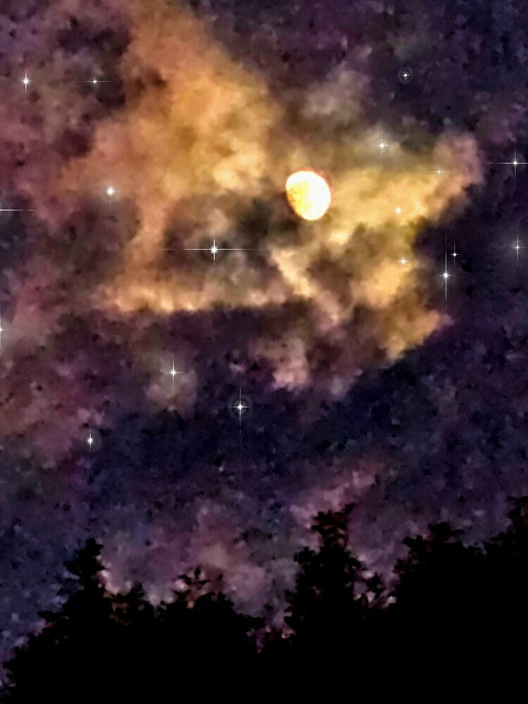 Moon and Stars by Vanessa Hogle
