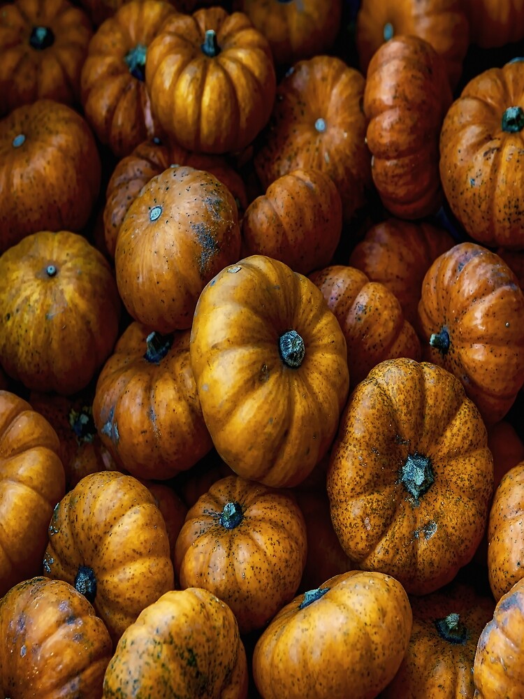 Antiquated Pumpkins by mctuba