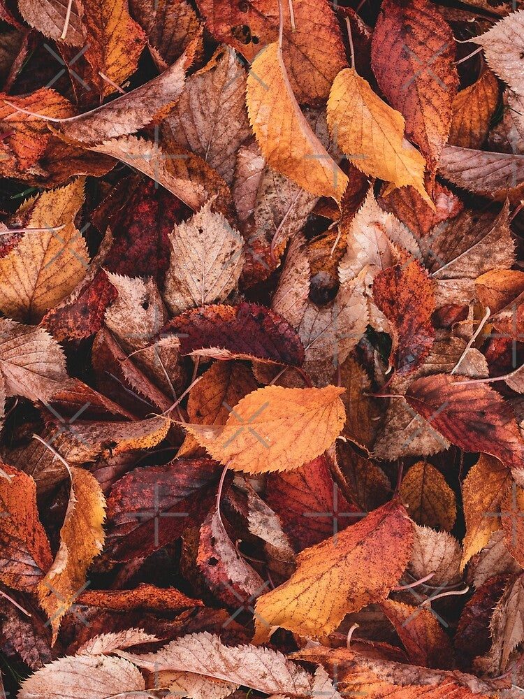 Autumn Leaves by NiftyTees