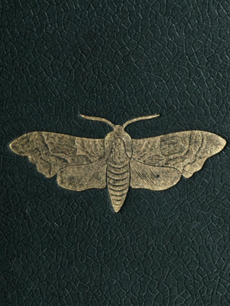 Moth Book by BlueSpecsStudio