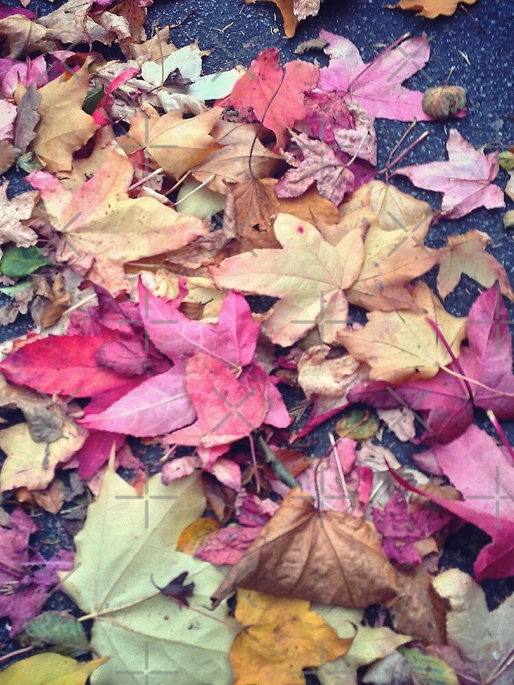 Autumn leaves by Asrais