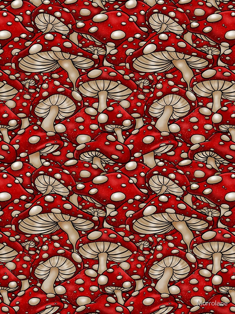 Toadstools by Morrolane