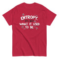 Entropy, It's Not What It Used To Be Men's Classic Tee