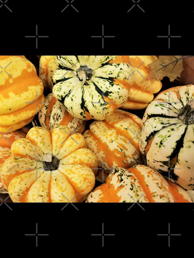 "Gourdgeous" Harvest Gourds by MixedBagMerch