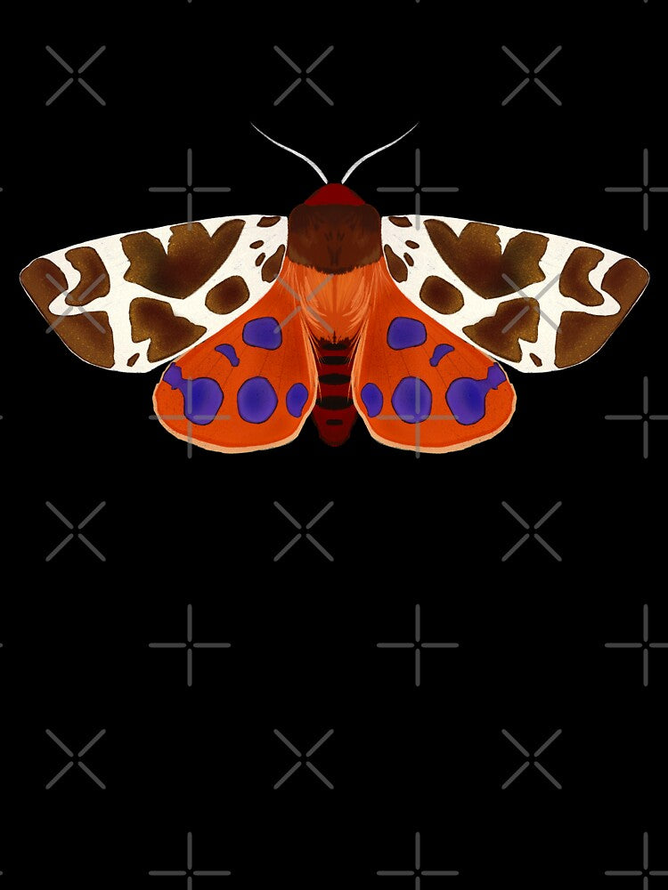 Orange Purple Moth by Isabelle-T