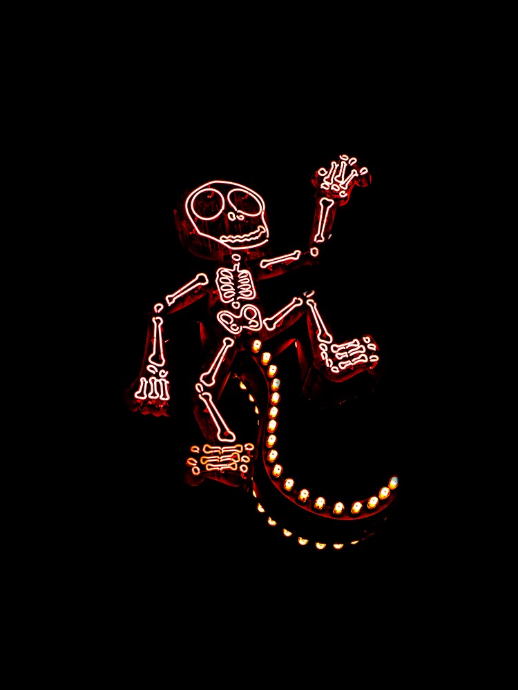 Los Muertos Mono by Bobby Deal
