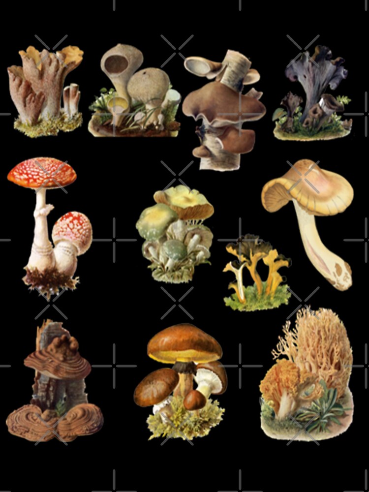 Mushroom Design Best Gift for Mushroom Lover by New Art