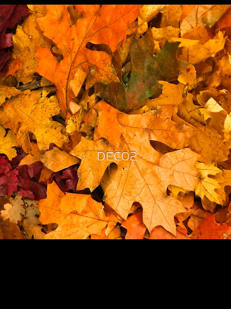 Autumn Fall Leaves In Pumpkin And Nutmeg Hues by DEC02