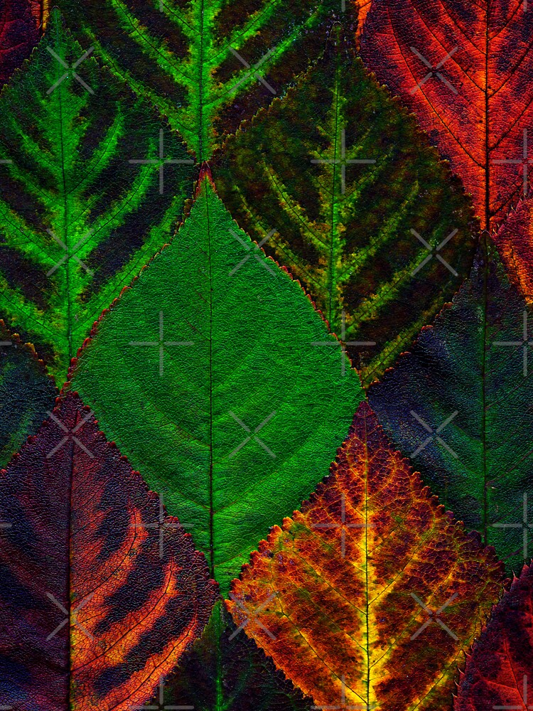 Autumn Leaves Detail Pattern modern multicolor by cutecrazytshirt