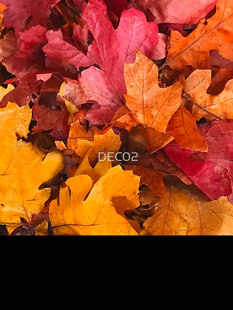 Autumn Yellow And Orange-Red-Spice Fall Leaves by DEC02