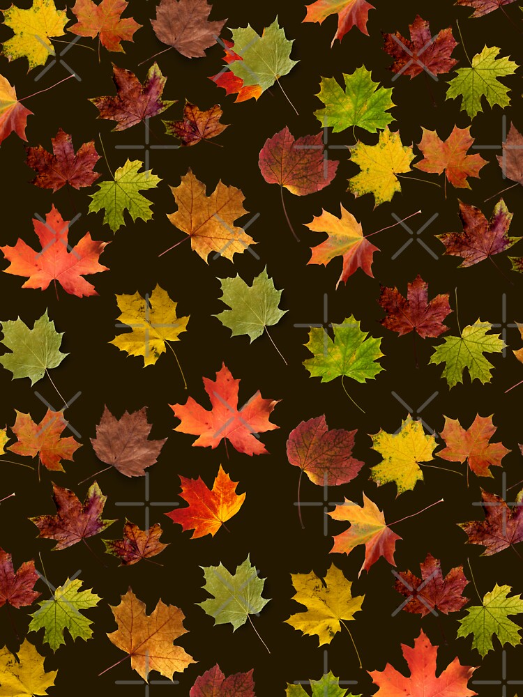 Falling autumn leaves,bright,vibrant by cutecrazytshirt