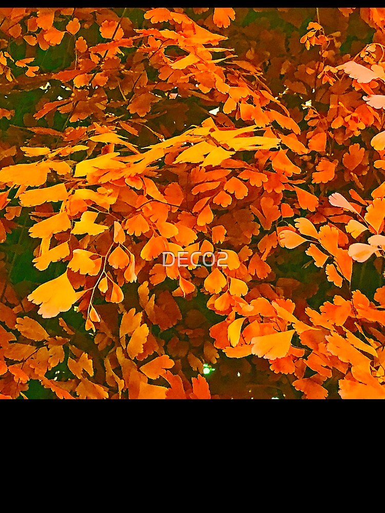 Autumn Tangerine-Orange And Fall Red Leaves by DEC02