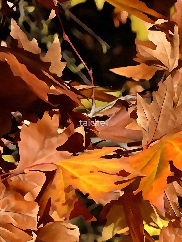 Artistic Fall Leaves In Autumn Sunshine by taiche