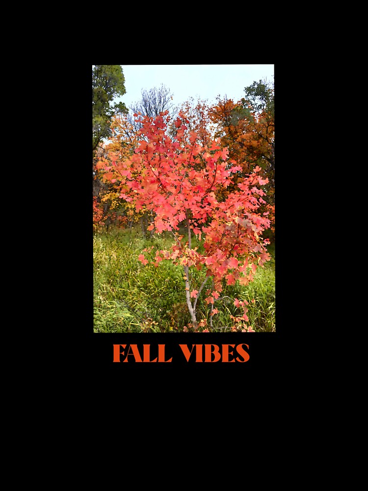 FALL VIBES by G7 Designs
