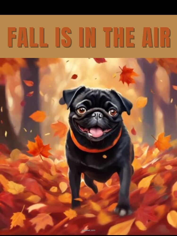 Black Fall Pug - Fall is in the Air by a boy and a pug