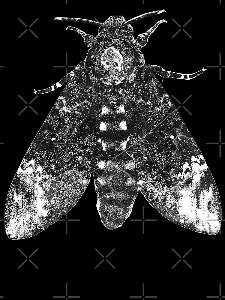 Deaths Head Moth Gothic Occult Black and White Illustration by Ghoul Enterprises