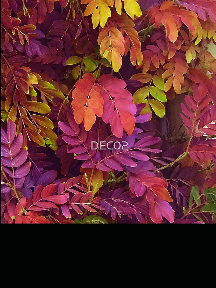 Awesome Autumn Fall Colorful Leaves Fantasy Art Photo by DEC02