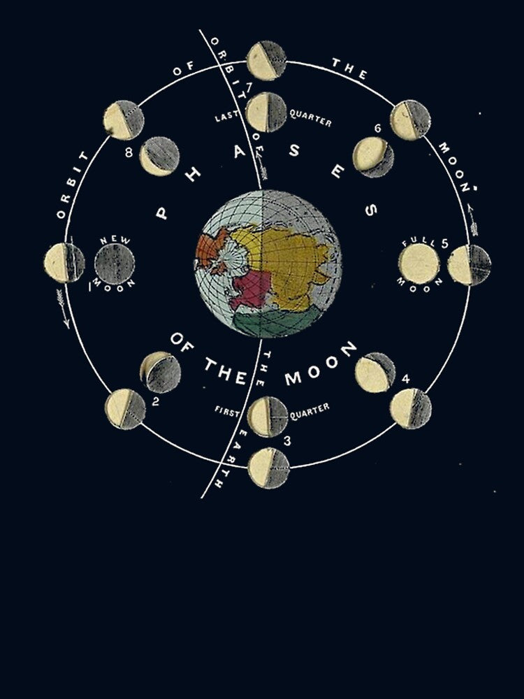 Phases of the Moon by Here Comes Everybody