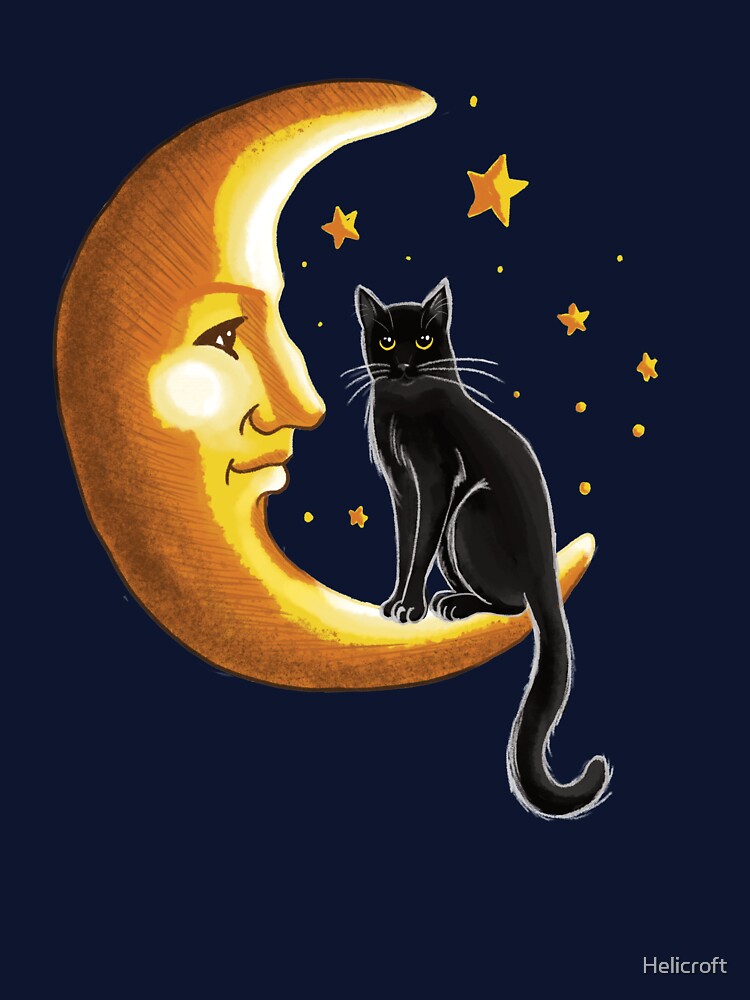 Cat on the moon by Helicroft