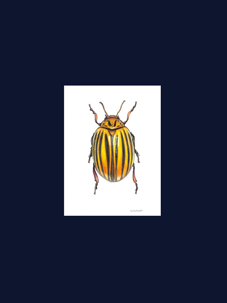 Colorado potato beetle by Atelier_HandWerk