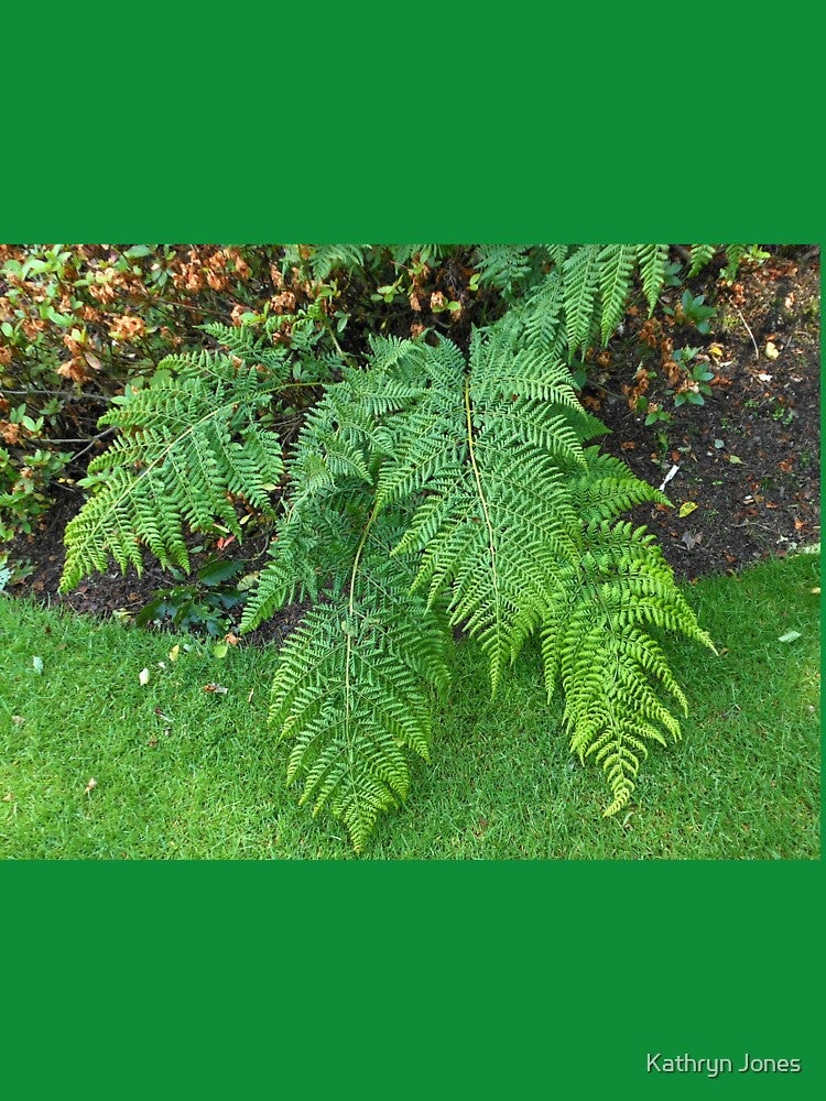 A Touch of Green - Beautiful Ferns by Kathryn Jones