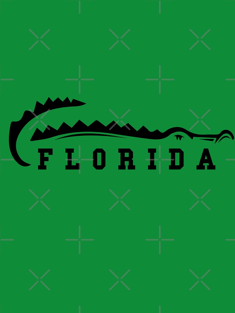 Florida by Felinefinesse