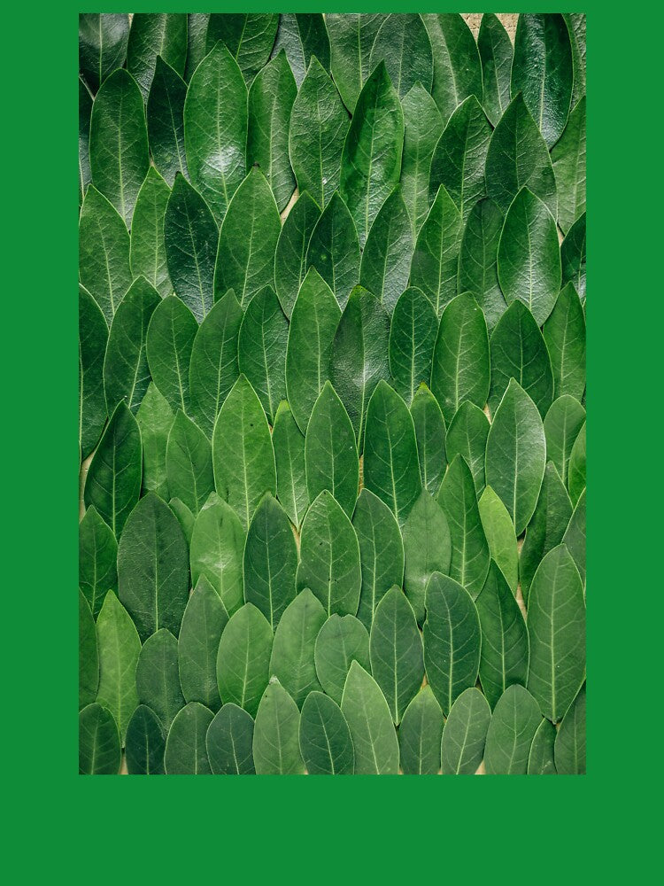 Green Leaves by COLDWEAR