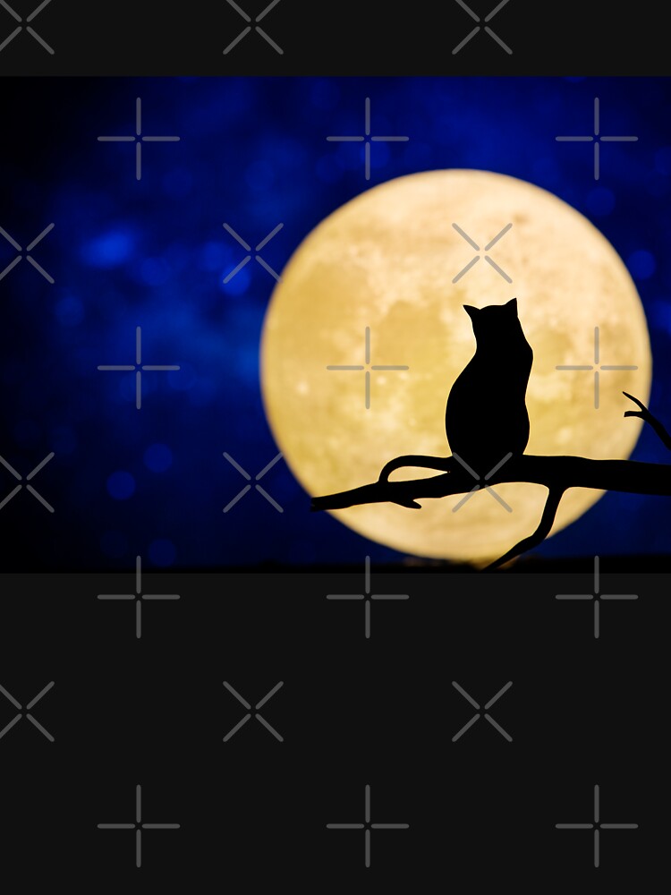 Cat & Moon by Art-by-Geoff