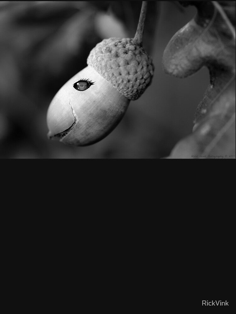 Acorn by RickVink