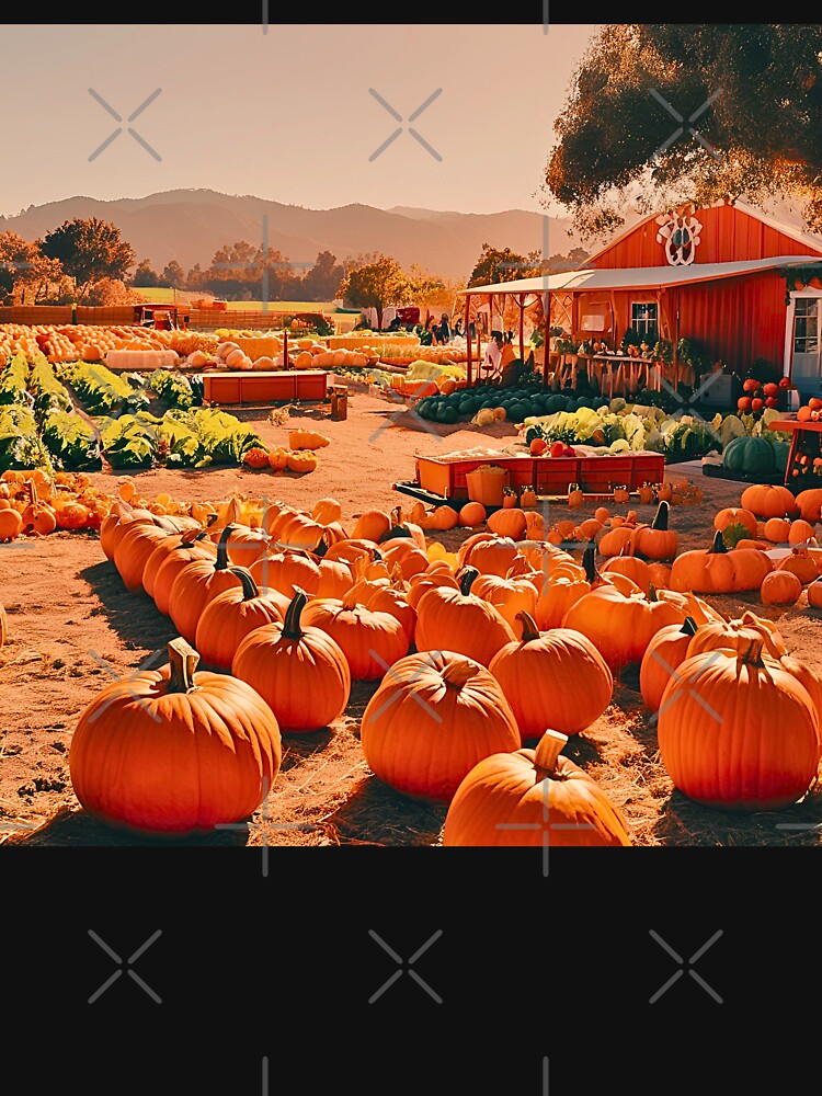 WHEATLAND CALIFORNIA PUMPKIN PATCH FARM HOUSE by milestotreasure