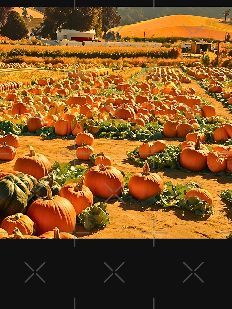 CALIFORNIAS ORANGE PUMPKIN PATCH FARM by milestotreasure