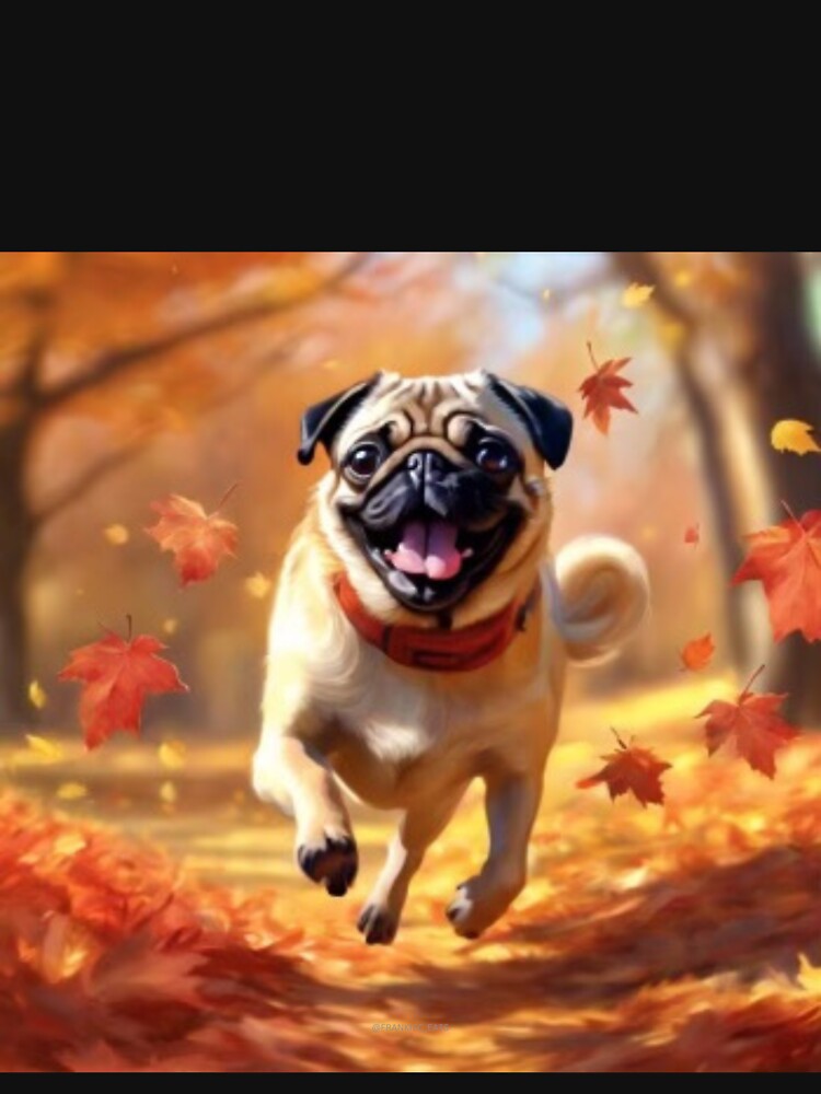 Fawn Fall Pug Leaves by a boy and a pug
