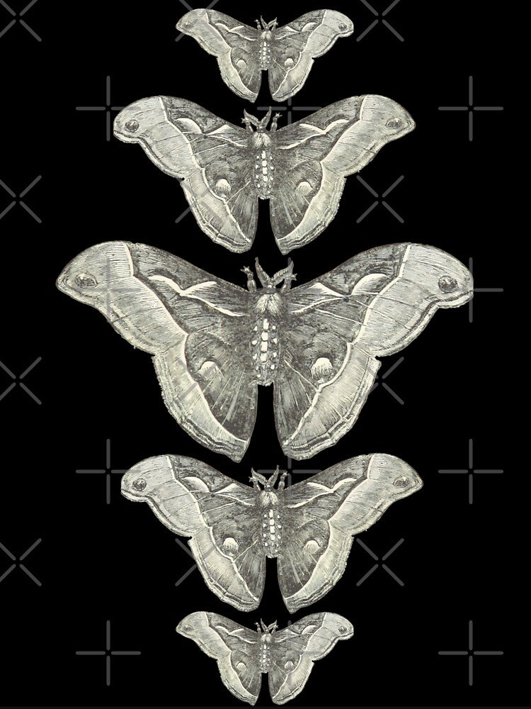 Atlas Moth Line. Grey. by NhfOriginals